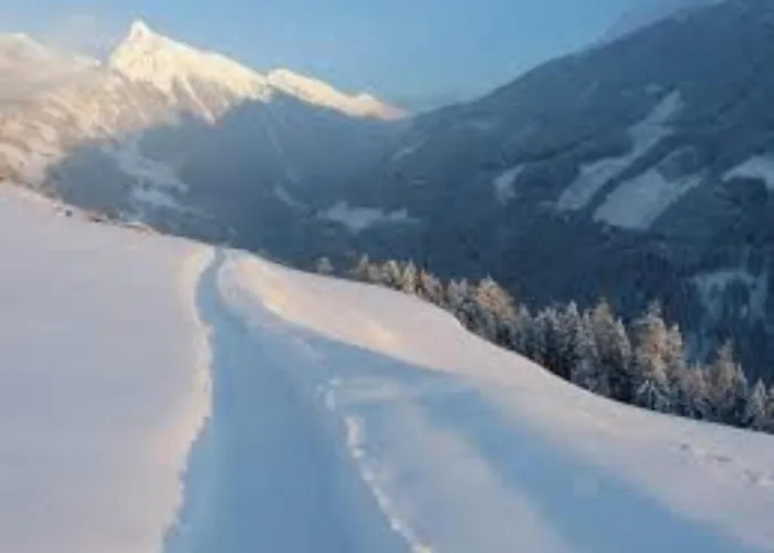 Baier 木屋 Stadl an der Mur